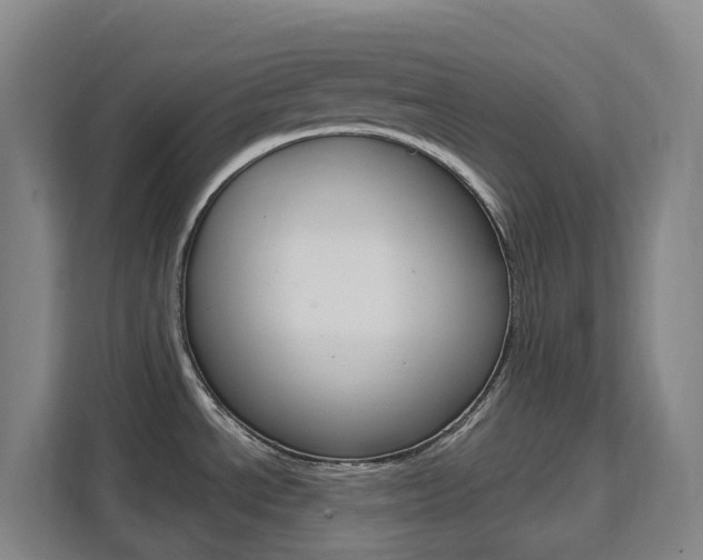 X0000111511534200907141054