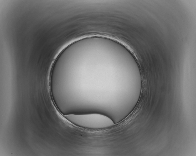 X0000111511535200907141054