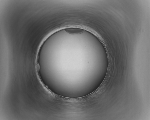 X0000111511536200907141054
