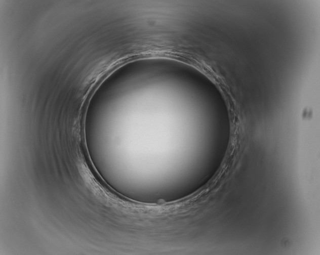 X0000111510002200907141347