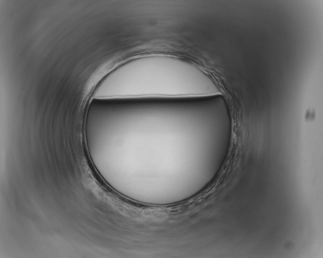 X0000111510004200907141347