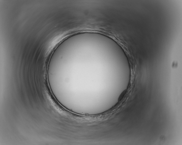 X0000111510005200907141347