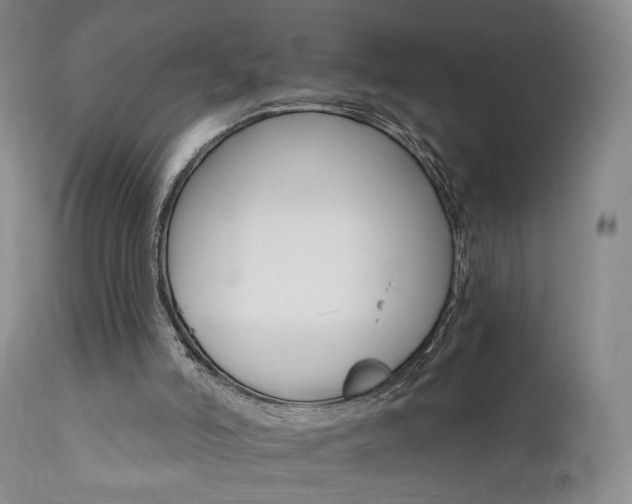 X0000111510006200907141347