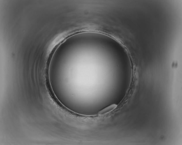 X0000111510007200907141347