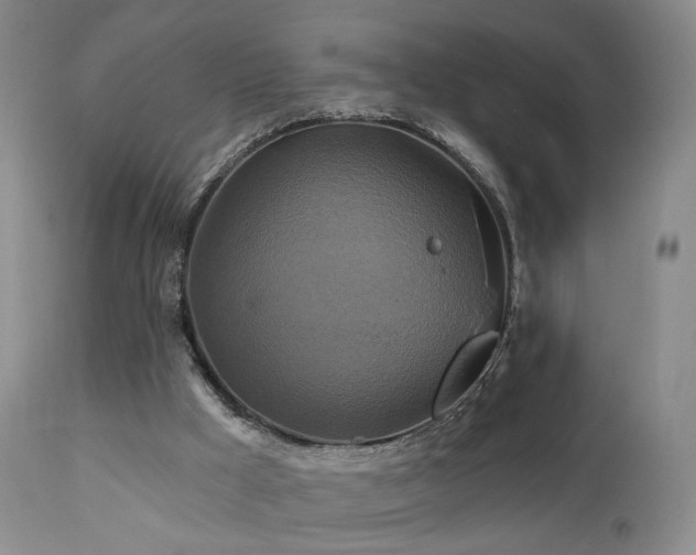 X0000111510009200907141347