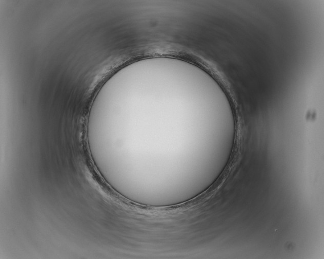 X0000111510010200907141347
