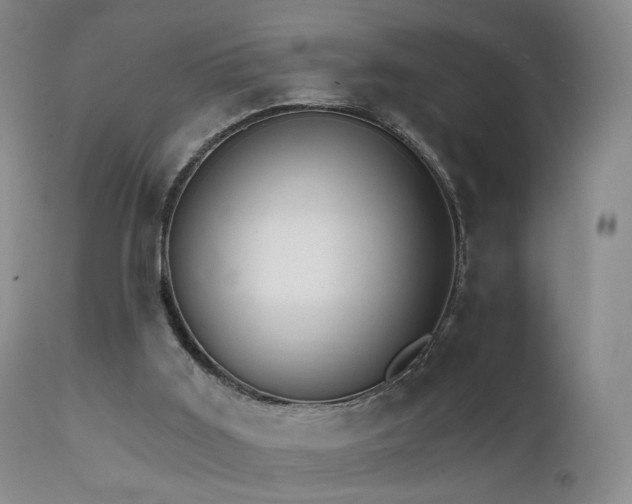 X0000111510011200907141347