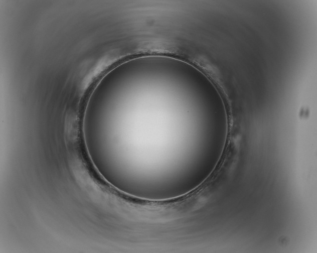 X0000111510012200907141347