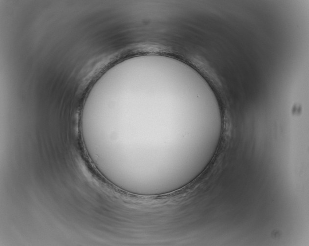 X0000111510014200907141347