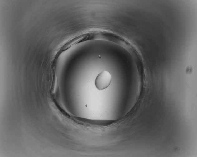 X0000111510015200907141347