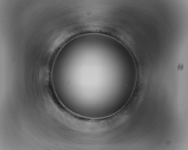 X0000111510016200907141347
