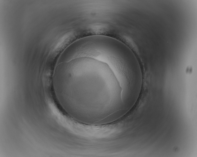 X0000111510018200907141347