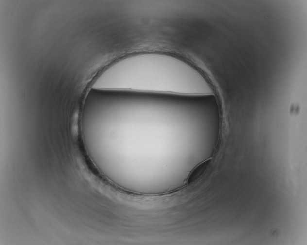 X0000111510019200907141347