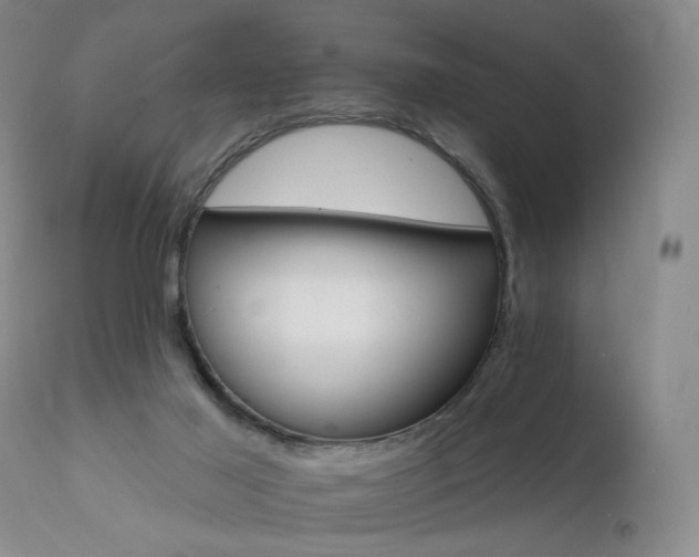 X0000111510021200907141347