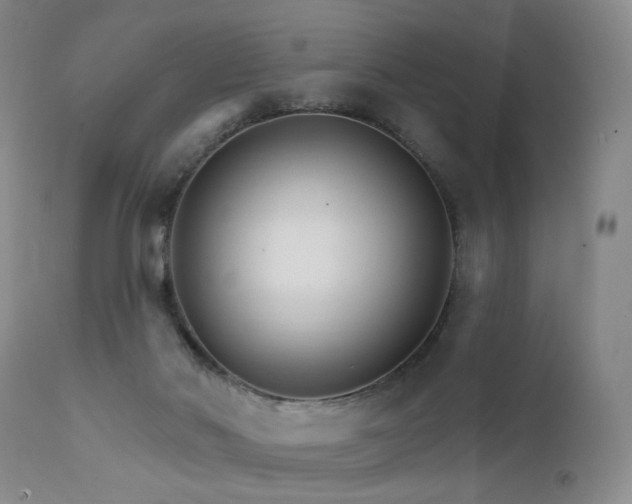 X0000111510022200907141347