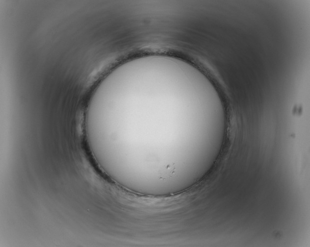 X0000111510023200907141347