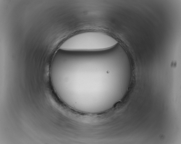 X0000111510024200907141347