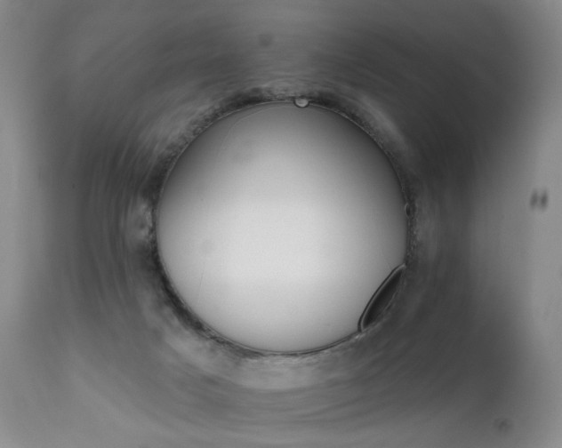 X0000111510025200907141347