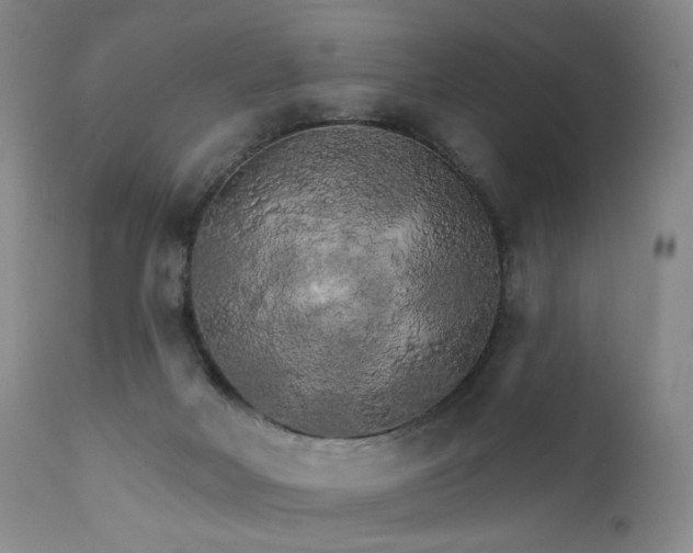 X0000111510026200907141347