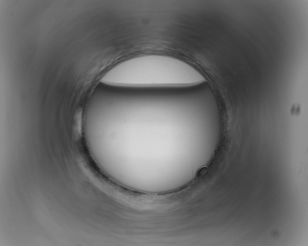 X0000111510028200907141347