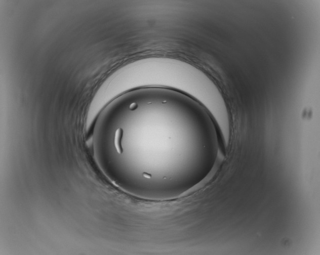 X0000111510029200907141347