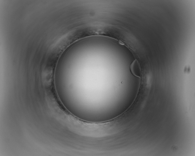 X0000111510030200907141347