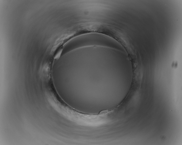 X0000111510031200907141347