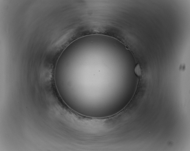 X0000111510032200907141347