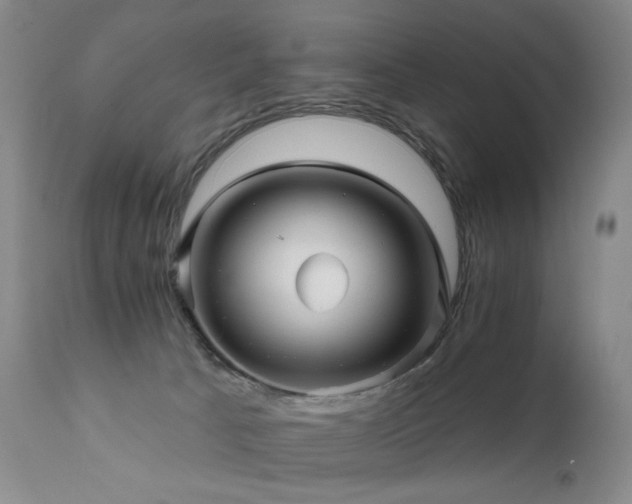X0000111510033200907141347