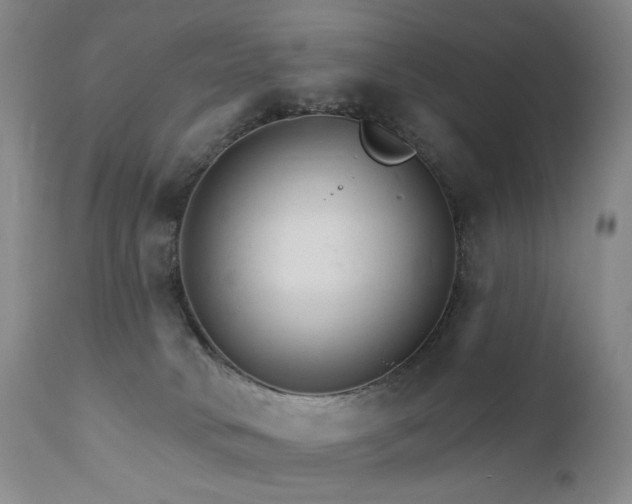X0000111510034200907141347