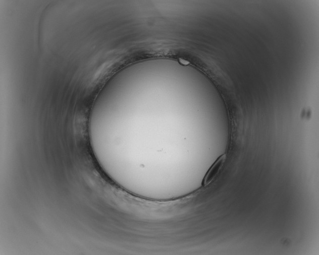 X0000111510035200907141347
