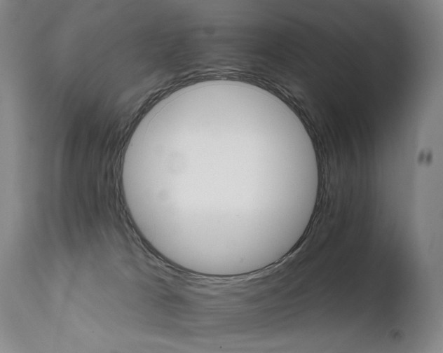 X0000111510037200907141347