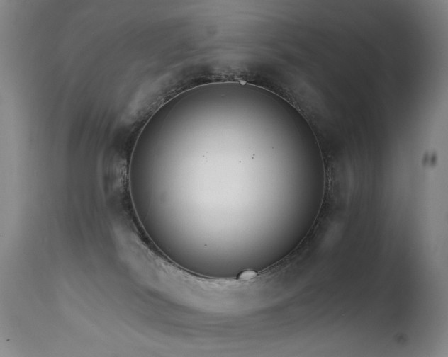 X0000111510038200907141347