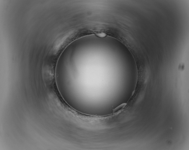 X0000111510040200907141347