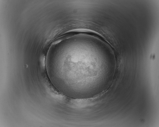 X0000111510041200907141347