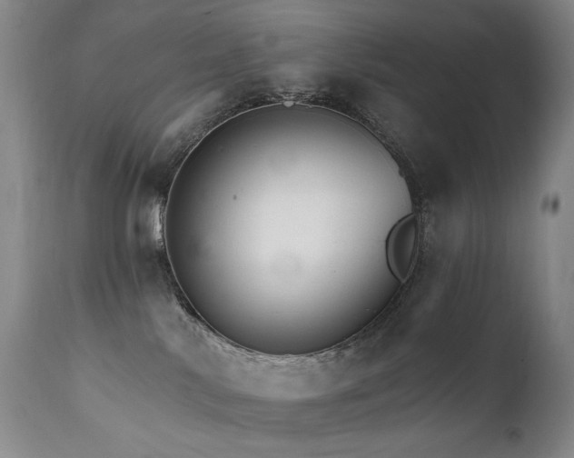 X0000111510042200907141347