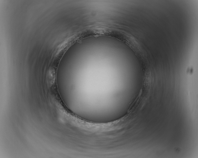 X0000111510043200907141347