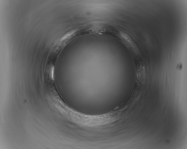 X0000111510046200907141347