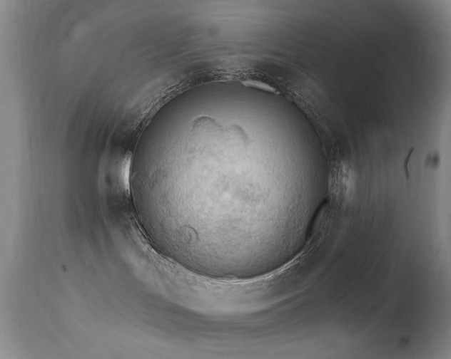 X0000111510047200907141347