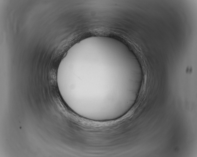 X0000111510048200907141347