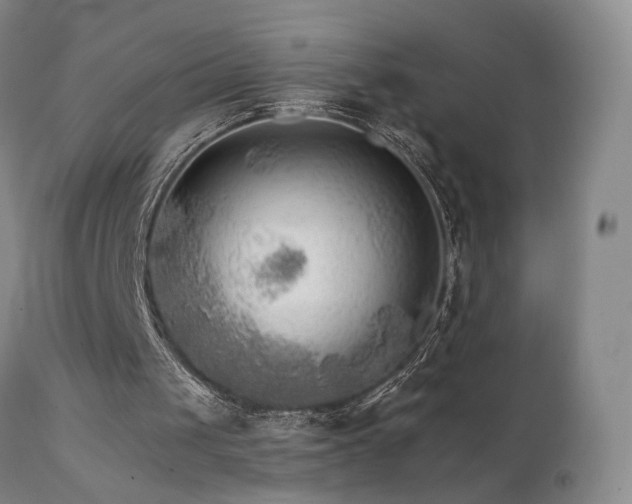 X0000111510049200907141346