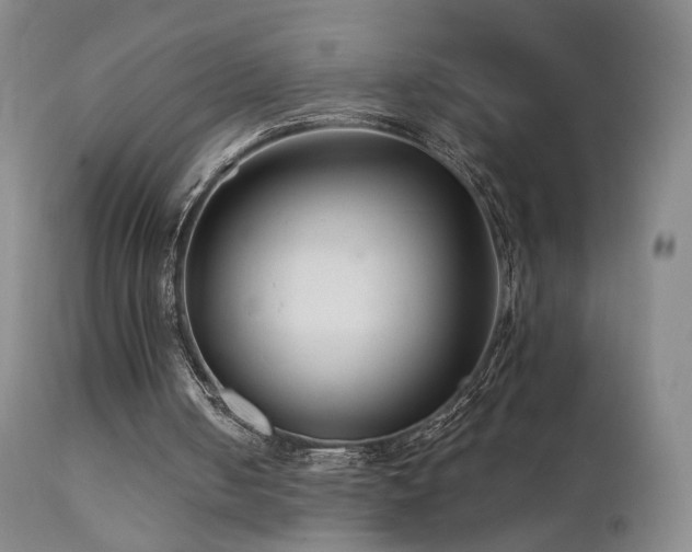 X0000111510050200907141346