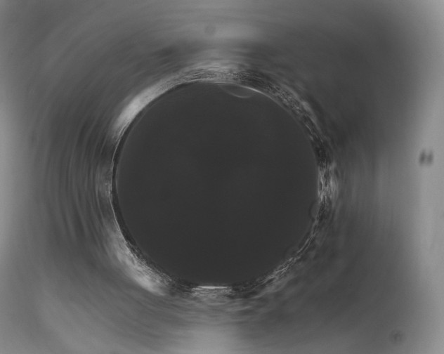 X0000111510051200907141346