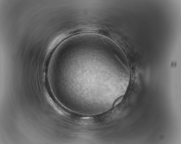 X0000111510053200907141346