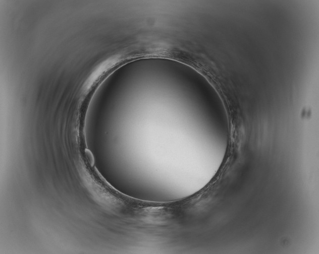 X0000111510054200907141346
