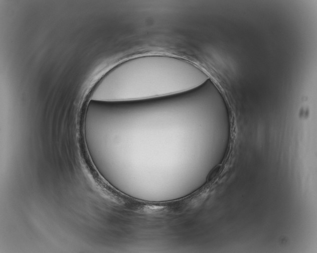 X0000111510055200907141346