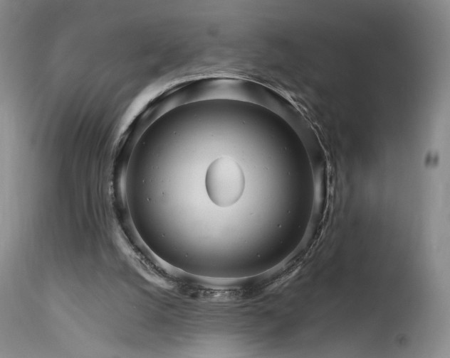 X0000111510056200907141346