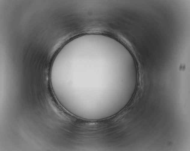 X0000111510059200907141346