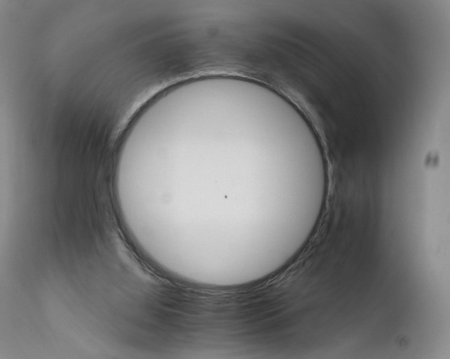 X0000111510060200907141346