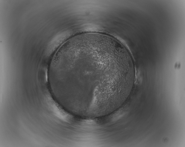 X0000111510061200907141346